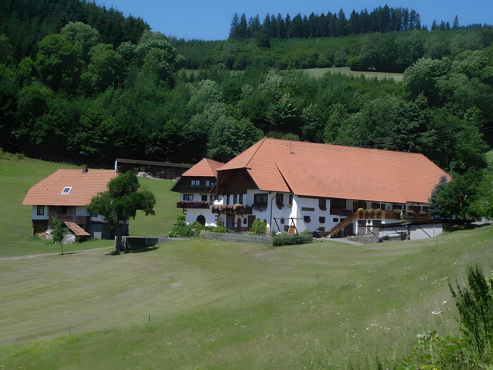 Ferienwohnung Uhlhof Neuenbach Exterior foto