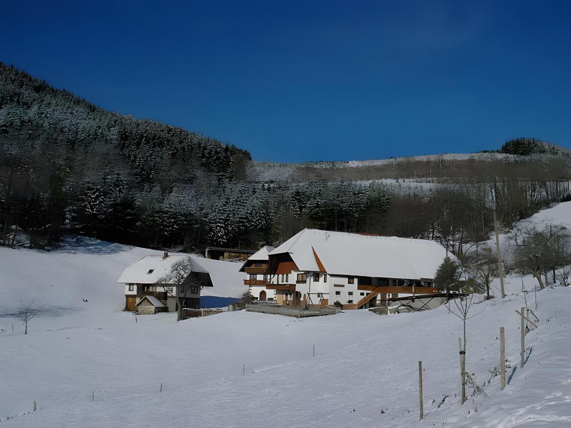 Ferienwohnung Uhlhof Neuenbach Exterior foto