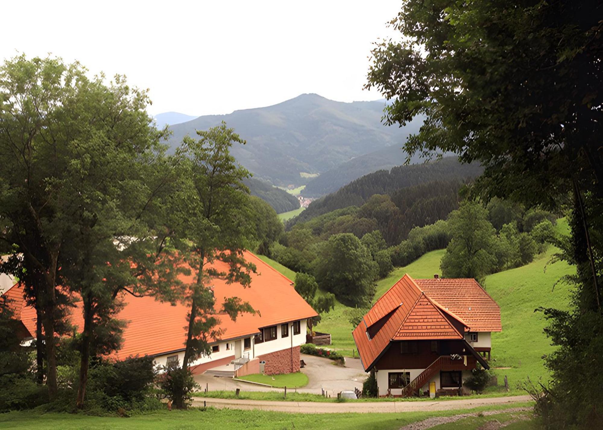 Ferienwohnung Uhlhof Neuenbach Exterior foto